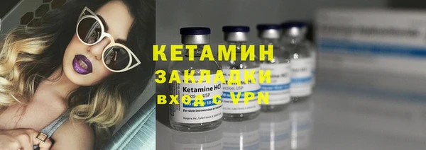 прущие грибы Богородск
