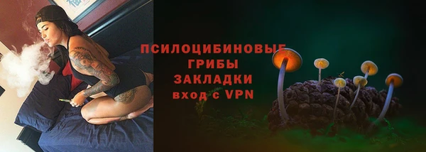 прущие грибы Богородск