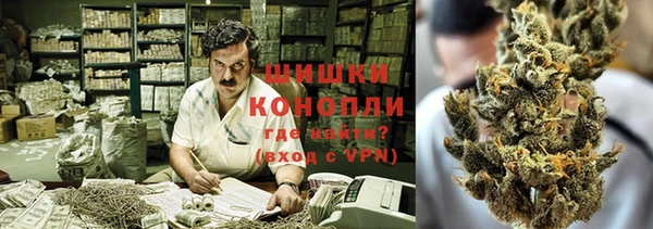 прущие грибы Богородск