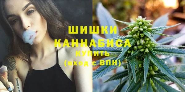 прущие грибы Богородск